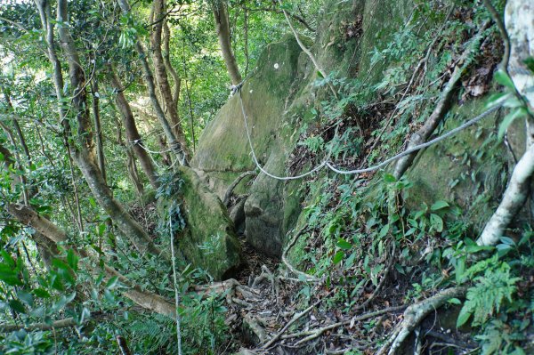 新竹 關西 蓬萊仙島山、石牛山、油井窩山、福大山2982388