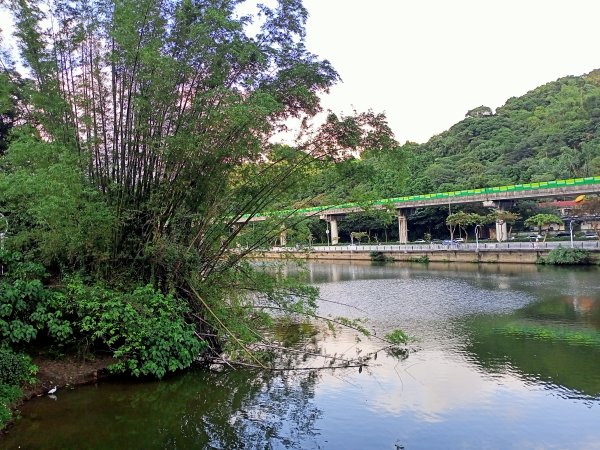 樂音悠揚的大湖公園【走路趣尋寶】1923810