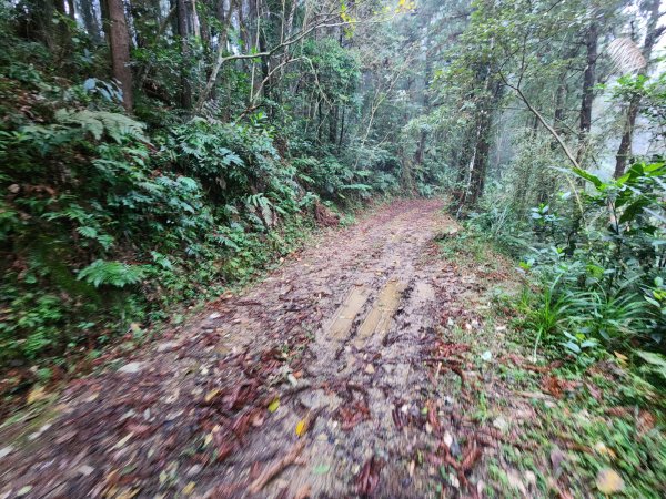 20260208五分寮頂山內大坪山石硬山O型3005248