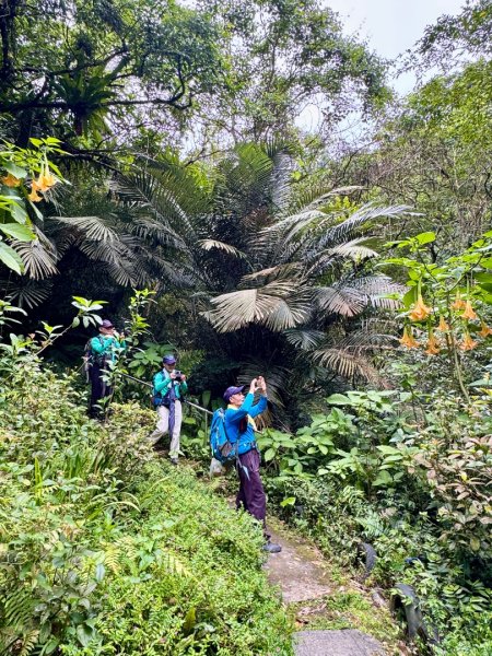 炮子崙瀑布2769582