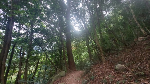 東卯山頂野營體驗 夕陽 星空 日出一次滿足1855397