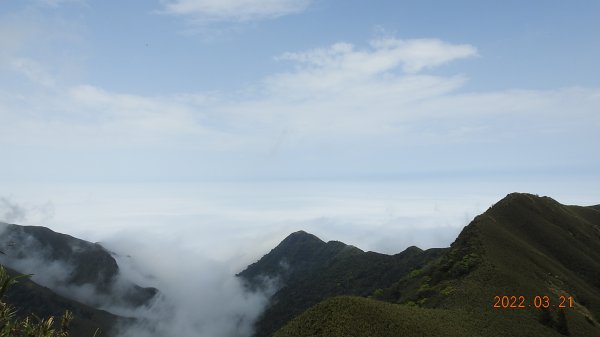 陽明山趴趴走，整天差強人意雲海1650824