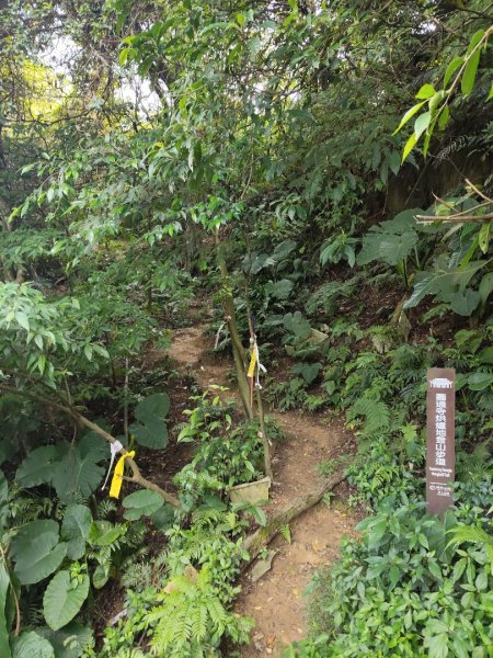 微笑山線：【天上山系】烘爐地土地公段：南勢角山2959360