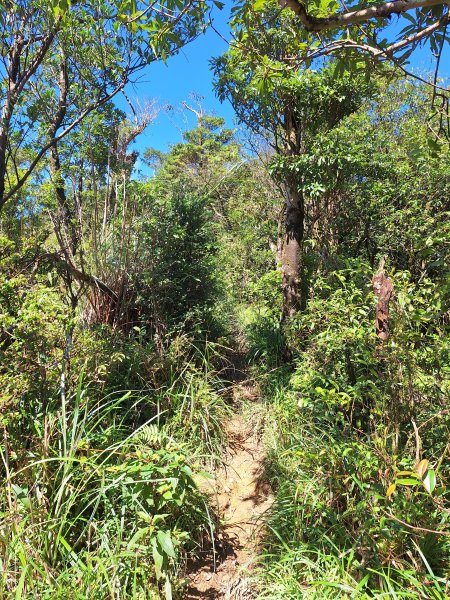 礁溪烘爐地山202509282900324