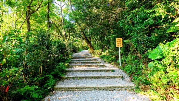 桃園石門山2916118