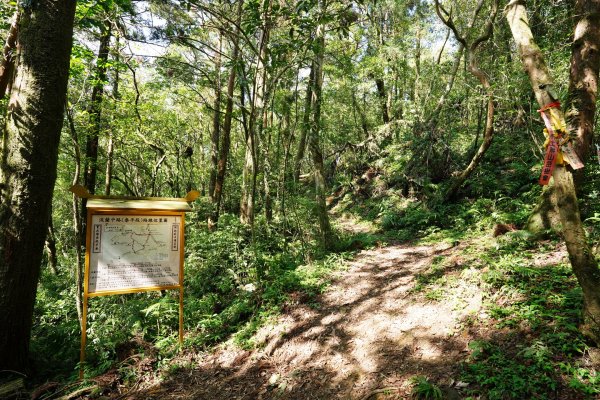 新北 雙溪 溪尾寮山、東柑腳山、柑腳山2581804