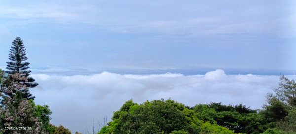 陽明山的天空之城&最美公車亭2473322