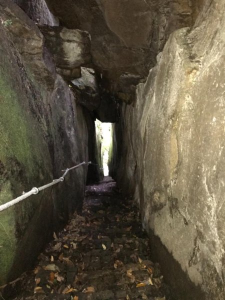 新竹五指山599737