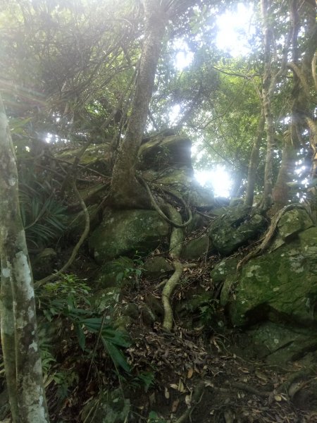 小東河山至大龍山202111201842862