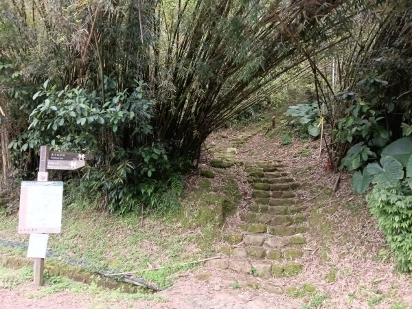平溪區淡蘭山徑-平湖西步道+內平林山+東步道O型2769909