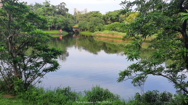 《台北》城市晨運｜南港公園後山埤公園O繞202505232795827