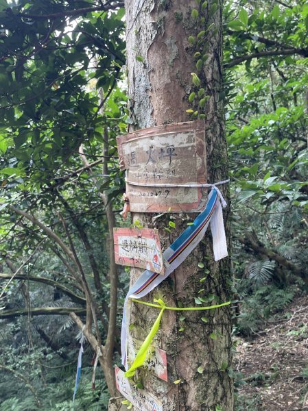 中坑古道西線(張家古厝)2899238