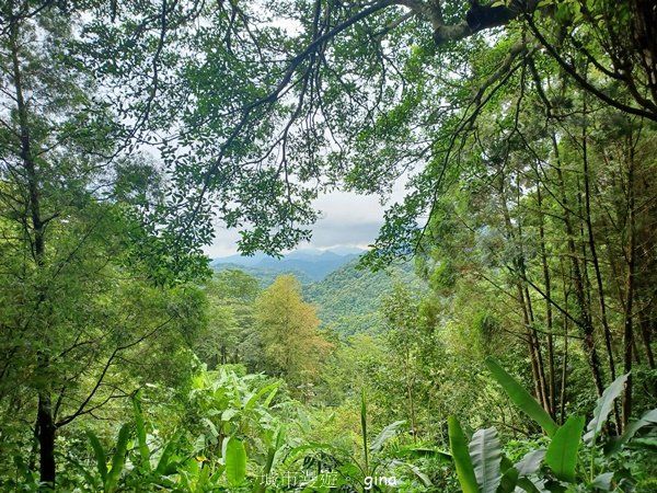 【新竹橫山】廢棄小學變身山城驛站。 逃學古道x大山北月2623197