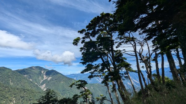 ∆百岳∆ 塔關山紀錄2750736