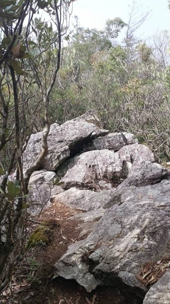 20251010 大雪山國家森林遊樂區 - 船型山林道 登 烏石坑山2911173