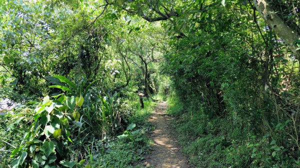 拳山古道,土地公嶺古道,中埔山古道,文山森林公園2578172