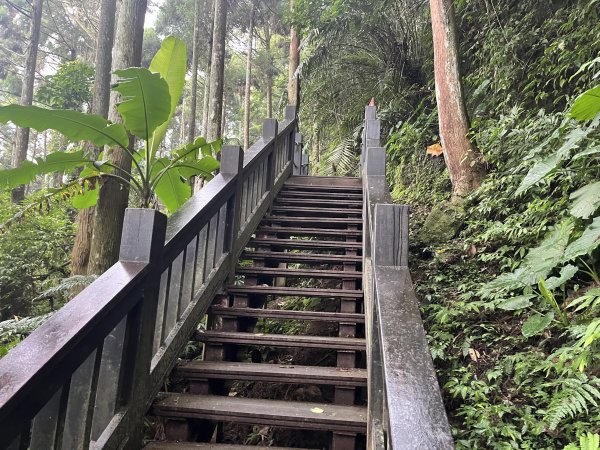 [皮皮獅Hike客任務-03/10] 2024_0720 五指山橫向登山步道2557173