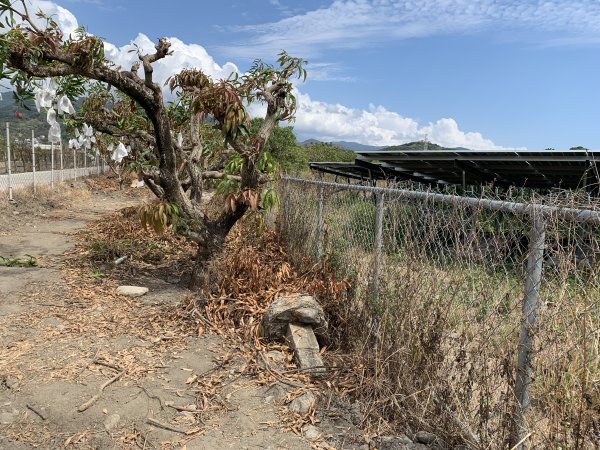 20250503屏東基石-大餉營庄東北2781530