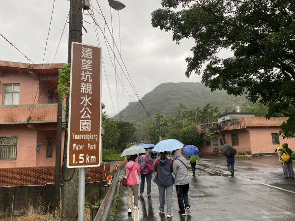 《2025草嶺古道芒花季｜雨天版完整攻略 × 七顆寶石路線實走》2949312