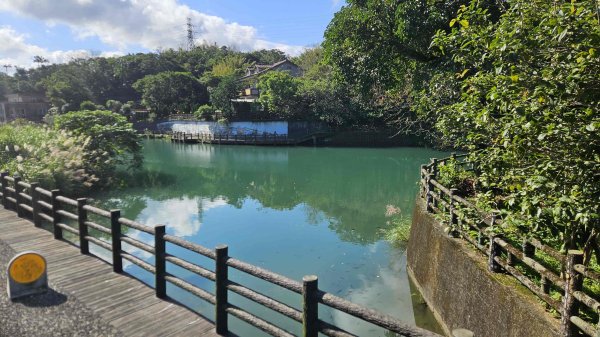 20251217麗水保甲路-麻斯廪水圳步道-大湖古道2964509