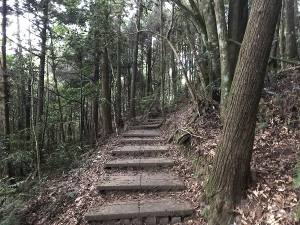 110年4月25日雲林  雲嶺之丘 五元二角 木馬古道1456561