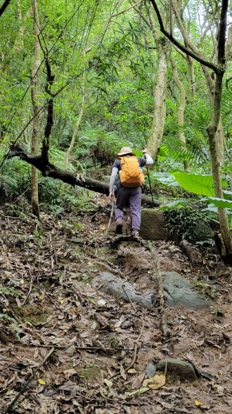 簡厝-鵝尾山-內厝-202406092600746