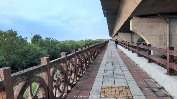 《彰化》海空七夕｜芳苑海空步道濕地紅樹林202408102569265