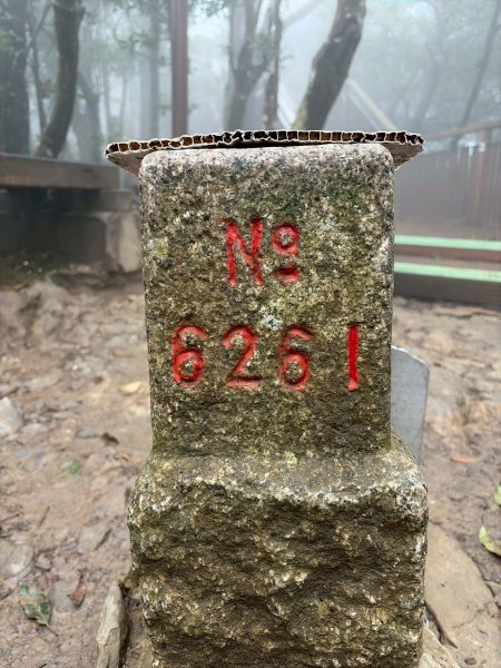 新北 三峽 桃園 復興 東眼山自導式步道2995389