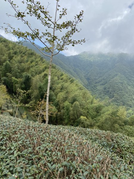 竹崙山志騰山3065558