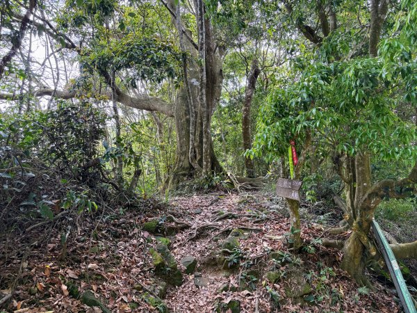 暗影山步道2753081