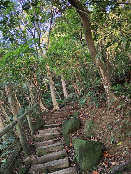 2023.12.14 土城天上山2827277