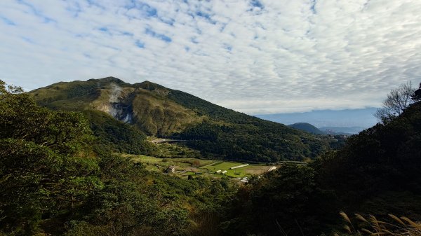 20260125 陽明山前後山健行(無極天元宮~山仔頂步道.向天池.向天山.面天山.二子坪)2998081