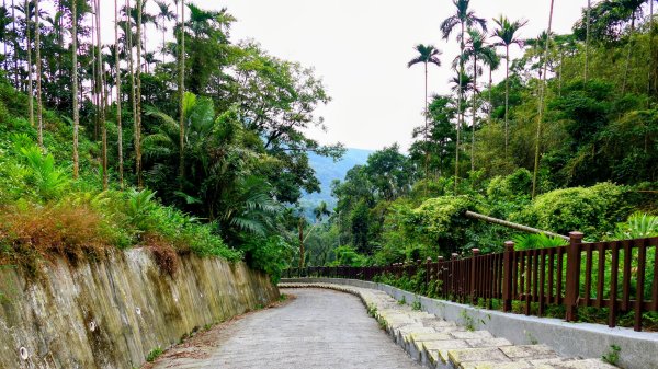 華山小天梯,情人橋2948592
