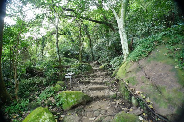 桃園 大溪 新溪洲山、溪洲山、林嵩壽山、內湳溝山、頭寮山3006199