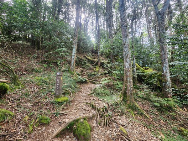 20250831鳶嘴稍來2928614