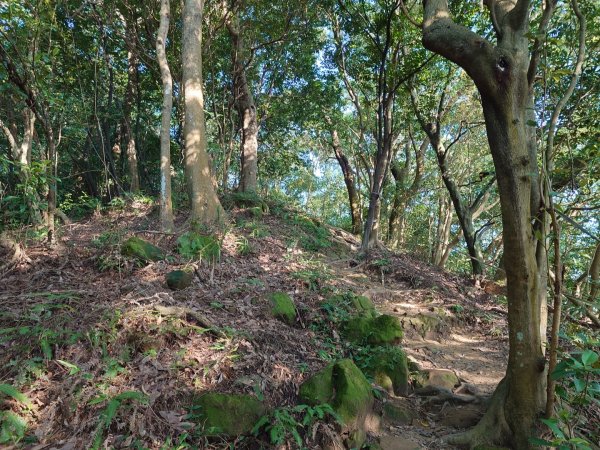 微笑山線之鳶山任務2855504