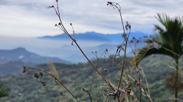 暗影山三進三出2366561