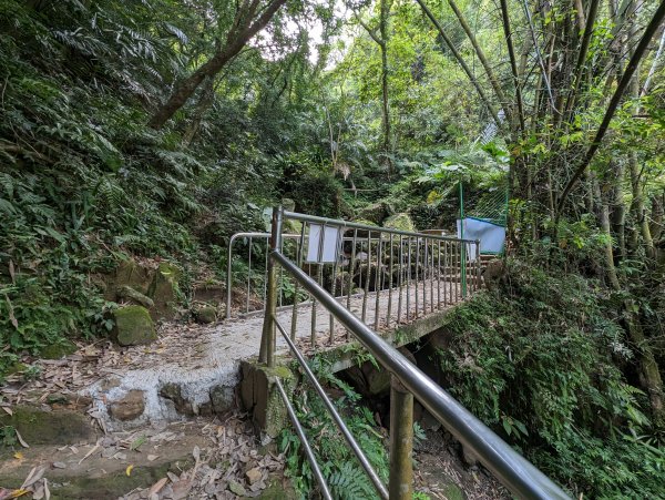 鳶山登山步道2095360