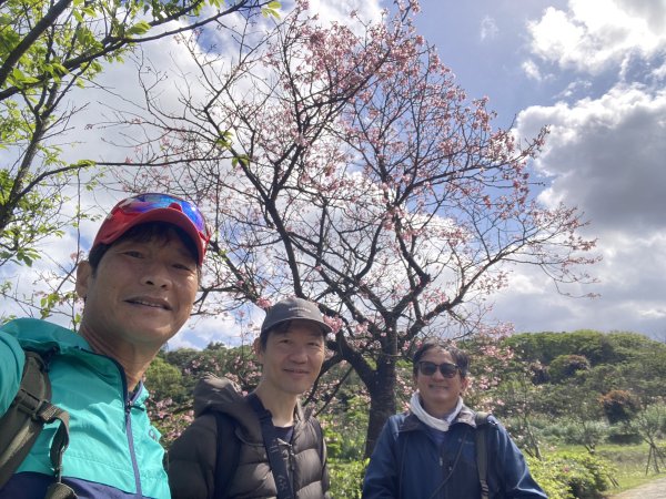 🚗從淡金公路出發｜三生步道櫻花與田園風光・春日療癒散步3018743