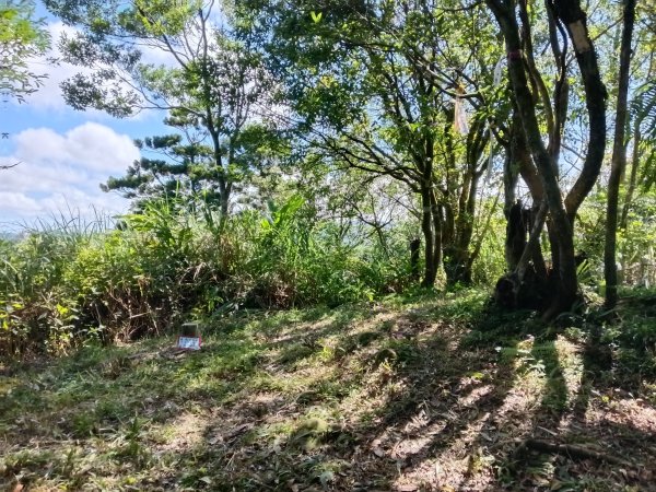 坪林區南豹子廚山+豹子廚古道+北豹子廚山2900488