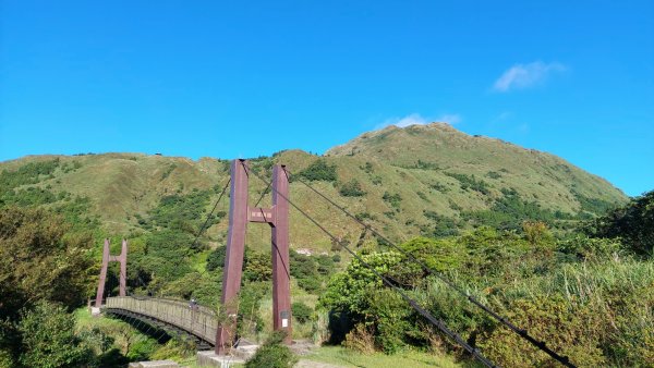 大好藍天遊冷擎1447423