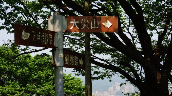 大尖山-四分尾山-舊莊環山步道