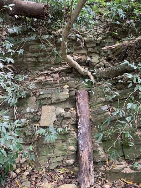 20250404屏東北獅子頭山-霧里乙山2757449