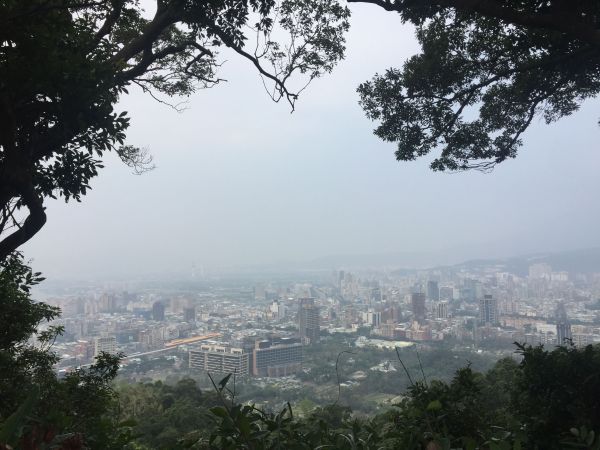 劍潭山步道231403