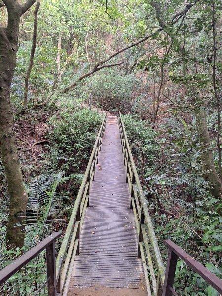 桃源里森林步道+龍鳳谷步道+坑子內山202509062880245