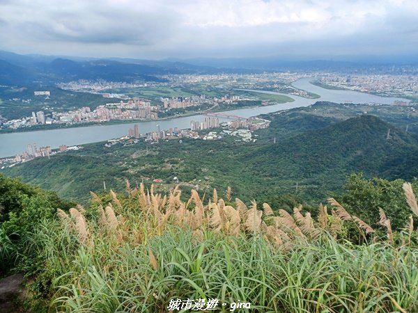 【新北八里】搭捷運公車爬山趣。 小百岳集起來。編號05小百岳-八里觀音山(硬漢嶺步道)1759635