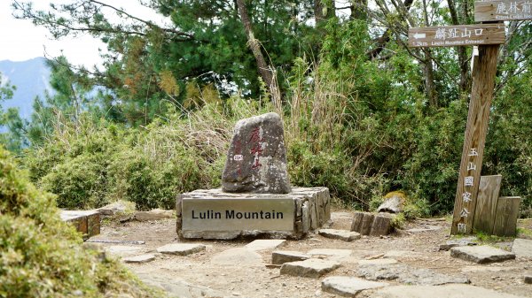 20180420鹿林山 麟趾山1495679