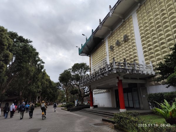 4-1 國立臺灣大學校園巡禮2691868