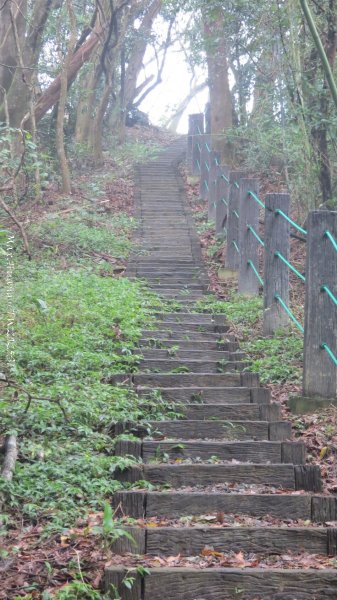 《苗栗》台鐵舊山線｜三義勝興鐵道覓境及挑柴古道O繞202501192693599