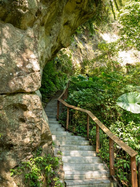 三民蝙輻洞2802487